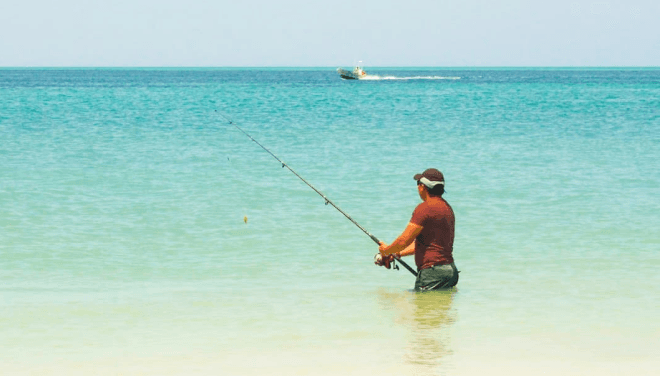 Icarrito de playa